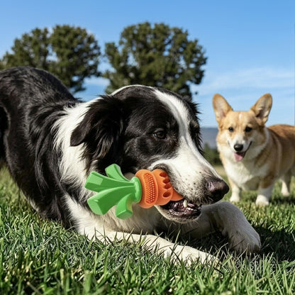 Carrot Chomp ~ Durable Nylon Rubber Dog Toy